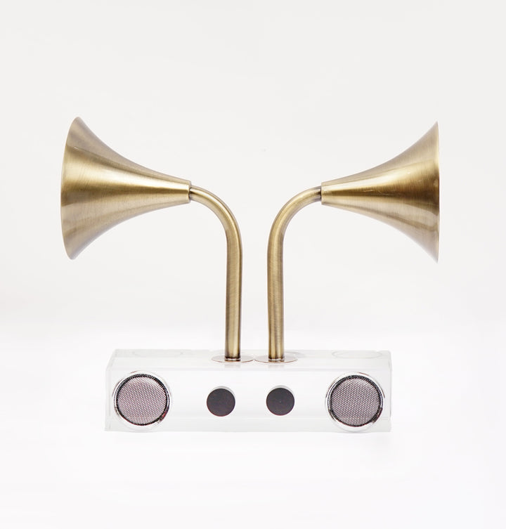 Acrylic Twin Horn Vintage Gramophone