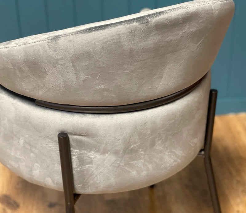 Jasper Scratch-Resistant Grey Velvet Curved Back Dining Chair with Matte Black Metal Legs