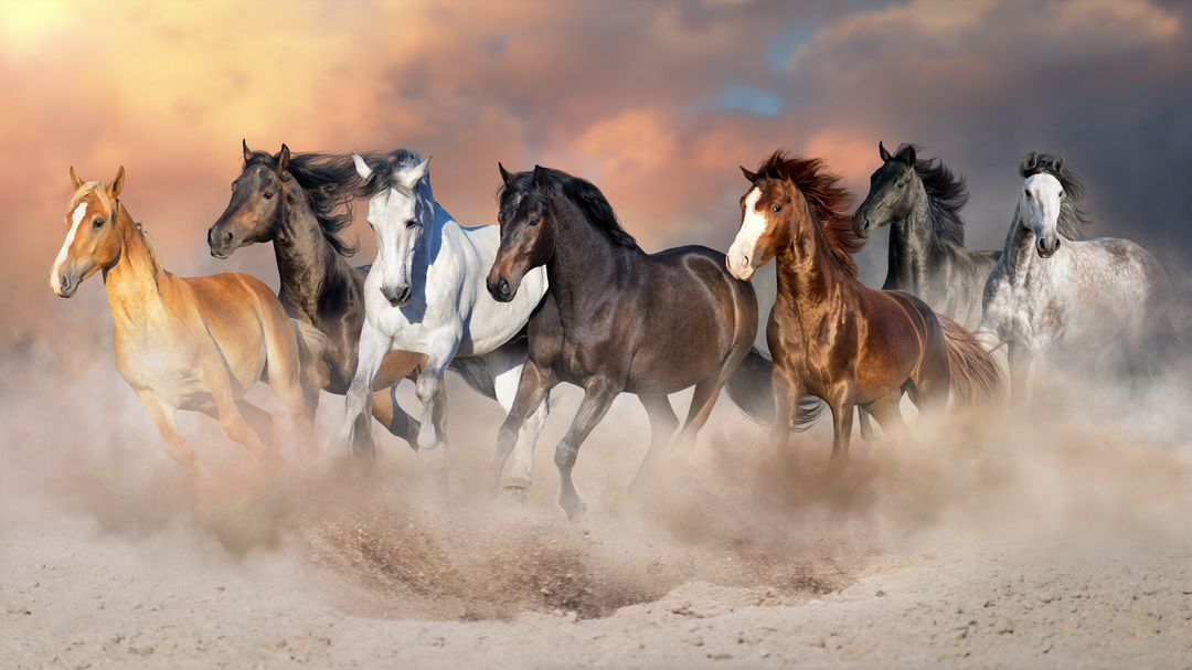 Wild Autumn Gallop Artwork L210x W110 CM