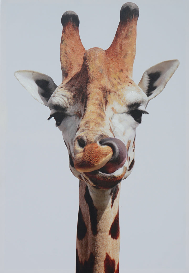 Innocent  Monster - paintingsonline.com.au